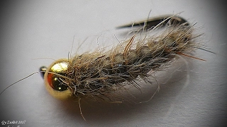 Gray Bodyglass Pupa