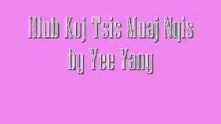 Hlub Koj Tsis Muaj Nqis   Yee Yang