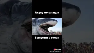 Акула мегалодон