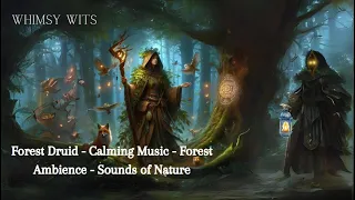 Forest Druid - Calming Music - Forest Ambience - Sounds of Nature