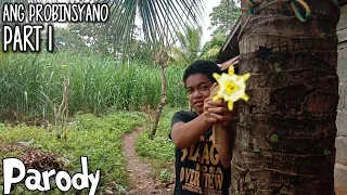 FPJ'S ANG PROBINSYANO PART 1(PARODY)