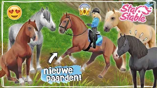 DE NIEUWSTE PAARDEN KOPEN, ZE KUNNEN LIGGEN! 😍 - Update | Star Stable Online | Daphne draaft door