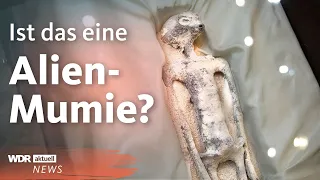 Angebliche Alien-Mumien in Mexiko präsentiert | WDR Aktuelle Stunde