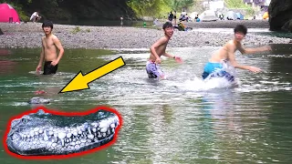 Alligator prank 2020 in Japan🐊