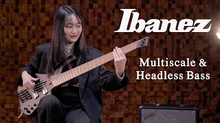 김예인 [Yein Kim] - Lemonade | Headless Bass | Multiscale Bass | Ibanez