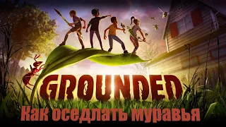 Grounded - Как оседлать муравья #2