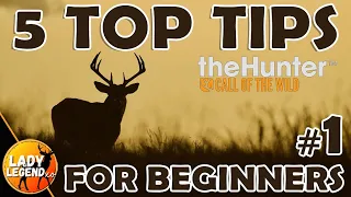 5 TOP TIPS & TRICKS for BEGINNERS in The Hunter Call of the Wild 2023 - Ep.1