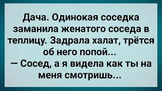 Соседка Заманила Женатого Мужика в Теплицу! Сборник Свежих Анекдотов! Юмор!