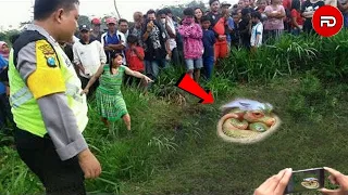 HEBOH!! Detik-detik Warga Tangkap Sosok Bayi Naga Di Kebun Kosong Viral, Sorot Matanya Mengerikan!!