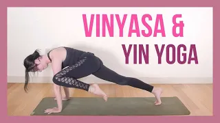 Vin to Yin - 1 Hour Yoga for Core Strength & Flexibility