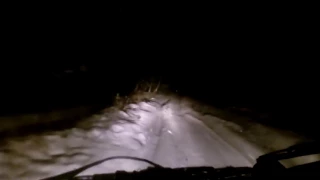 Has this dashcam captured ‘Yeti’ in snowy Russian forest? (VIDEO)