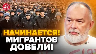 🤯ШЕЙТЕЛЬМАН:ЖЕСТЬ по всей РФ! Мигрантов ЗАХЛЕСТНУЛА ненависть россиян: теперь ИСЧЕЗНУТ? @sheitelman