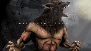 "I Am A Different Breed!" - Gym Motivation - Epic Motivational Speech