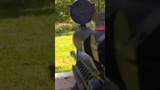 .223 vs watermelon