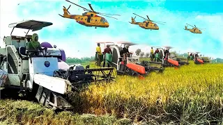 it doesn't take long! Cool and Powerful Agricultural Machines - Rice Harvesting Machine