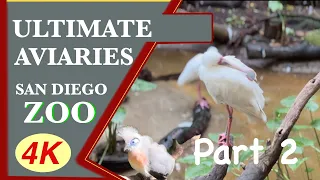 Ultimate San Diego Zoo Aviaries Part 2-1HR 4K Relaxation Music