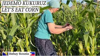 Uživamo u našem domaćem kukuruzu | Enjoying our homegrown corn