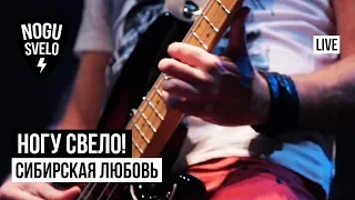 Ногу Свело! - Сибирская любовь (Live)