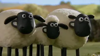 NEW Shaun the Sheep   BEST FUNNY PLAYLIST PART 20   فيلم كرتون الخروف الشهير شون ذا شيب