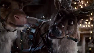 Reindeer Fart Compilation