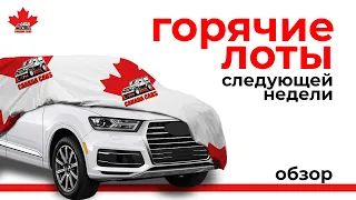 Авто из Канады в Украину, Евросоюз, Грузию. Распродажа Volkswagen and AUDI Diesel 12 мая 2020.