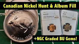 Canadian Nickel Hunt & Album Fill #9 + my first SLABBED & GRADED Coins! High Grade!!)