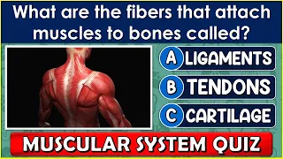 "MUSCULAR SYSTEM QUIZ" | How Much Do You Know About the "MUSCULAR SYSTEM"? | QUIZ/TRIVIA/QUESTIONS