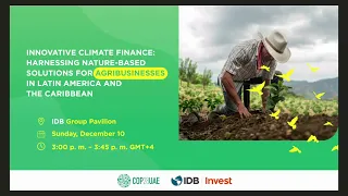 IDB Invest - Innovative Climate Finance