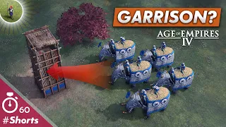 Can Elephants Garrison Outposts in AoE4?