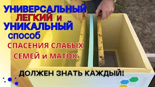 УНИВЕРСАЛЬНЫЙ и УНИКАЛЬНЫЙ способ.  Должен знать каждый пчеловод!