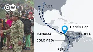 Record half-million migrants crossed the Darien Gap jungle between Colombia and Panama | DW News