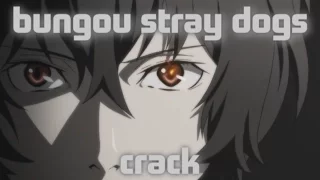 Crack Bungou Stray Dogs