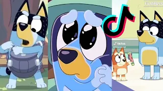 Bluey TikToks Compilation 2023 #128