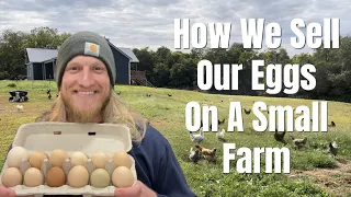 How We Sell Our Eggs On A Small Farm
