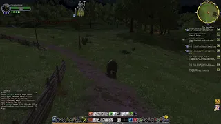 LOTRO gameplay 05.10