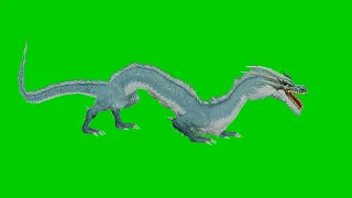 dragon, green screen dragon, green background dragon/龍，綠屏龍素材