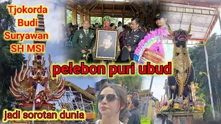 super megah‼️wisatawan ramai menyaksikan pelebon puri ubud Tjokordo Budi Suryawan