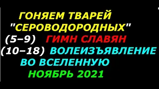 Гоняем тварей сероводородных с 5 по 18 ноября 2021  На этом видео элементы настоящего экзорцизма