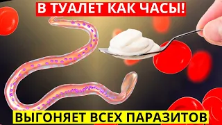 Бабушка 87 Лет Ест Это На Ночь, В Туалет Как Часы! Для Печени, Желудка, Выгоняет Все Хронические!