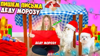 24 ЧАСА ПОД СТОЛОМ С КОТАМИ! ПИШЕМ ПИСЬМО ДЕДУ МОРОЗУ!!