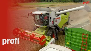 Nowy Claas EVION w gęstym łanie zboża! Jak się spisał?