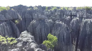 Tsingy de Bemaraha national park Madagascar