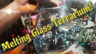 Melting Terrarium! Molten Glass on Driftwood