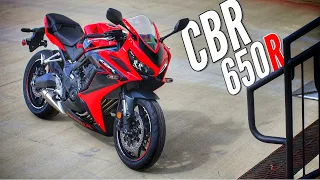 New 2023 Honda CBR650R Sport Bike / Motorcycle Walkaround + Exhaust / Engine Sound!