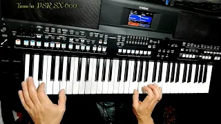 Сибирские морозы В.Кузьмин covеr Yamaha PSR SX-600