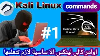 أوامر kali linux الاساسية | Basic kali linux commands | الدرس 4