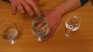 Поющие бокалы. Как заставить "петь" бокал. The singing glass