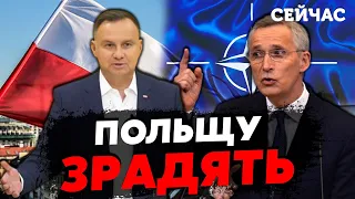 👊Зеленько: НАТО НЕ ЗАСТУПИТСЯ за Польшу после УДАРА РФ. Армия БЕЗСИЛА. СПАСАТЬ будет Украина