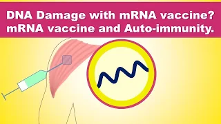 Can mRNA vaccines alter your DNA? - mRNA Vaccine - Moderna/Pfizer's COVID-19 vaccine