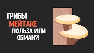 Грибы майтаке — это полезно или очередной обман?!